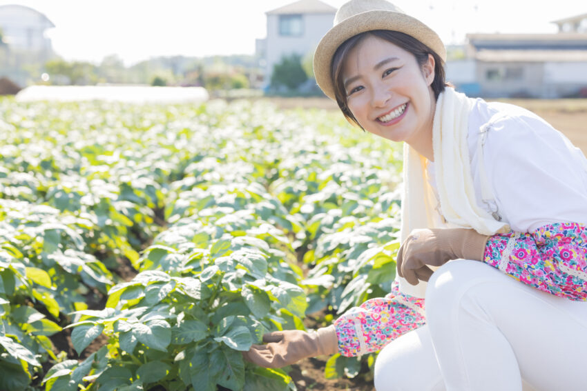 びっしり芽が出てぐんぐん伸びてる